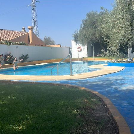 Valencina de la Concepción Apartamento A 8Km Sevilla Centro מראה חיצוני תמונה